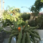 Bed & Breakfast Cima Bianca San Vito Lo Capo