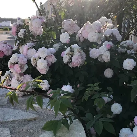 Cima Bianca San Vito Lo Capo