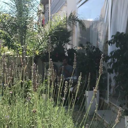 B&B Cima Bianca 산비토로카포