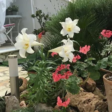 Cima Bianca San Vito Lo Capo