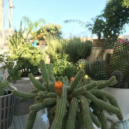 B&B Cima Bianca 산비토로카포