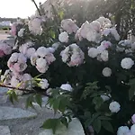 Cima Bianca San Vito Lo Capo