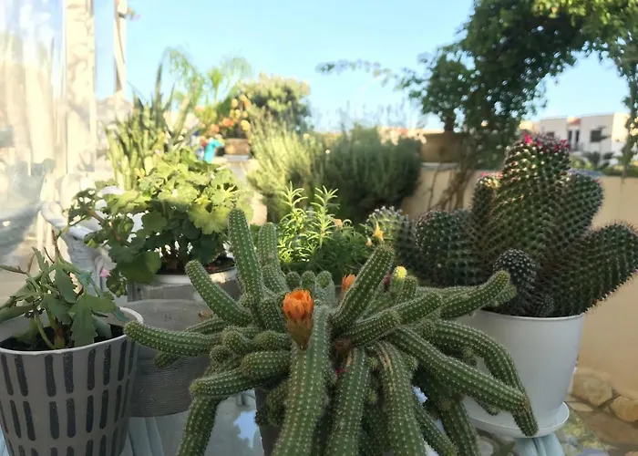 Frühstückspension Cima Bianca San Vito Lo Capo